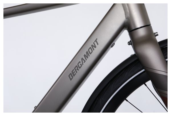 Bicicleta eléctrica de ciudad Bergamont E-Sweep Tour Shimano Cues 10V Mahle 250Wh Gris 2023 - Bicicleta de exposición - Image 7