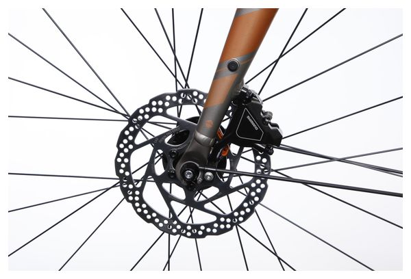 Bicicleta eléctrica de ciudad Bergamont E-Sweep Tour Shimano Cues 10V Mahle 250Wh Gris 2023 - Bicicleta de exposición - Image 8