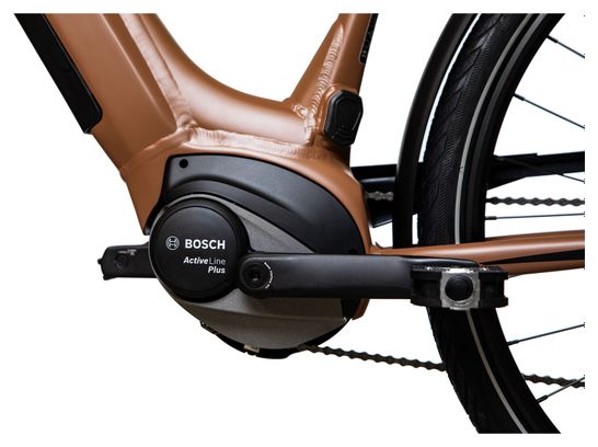 Bicicleta eléctrica de ciudad Bicyklet Victoire Shimano Alivio 9V 400 Wh 700 mm Marrón - Image 8