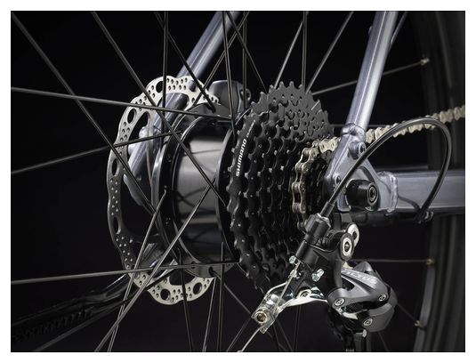 Bicicleta fitness eléctrica Trek Dual Sport+ 2 Shimano Altus 9V 250 Wh 650 mm Gris - Image 4