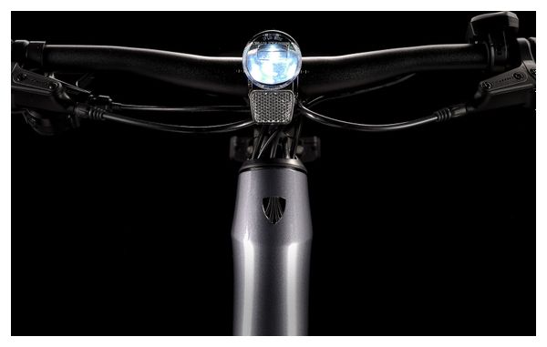 Bicicleta fitness eléctrica Trek Dual Sport+ 2 Shimano Altus 9V 250 Wh 650 mm Gris - Image 8
